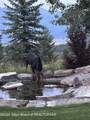 785 Strawberry Hills Dr - Photo 82