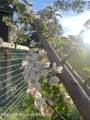60 Buckrail Lane - Photo 68