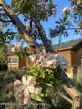 60 Buckrail Lane - Photo 69