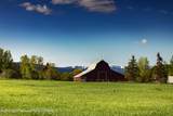 1735 Crooked Creek Road - Photo 4