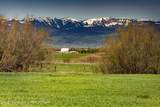 1735 Crooked Creek Road - Photo 8
