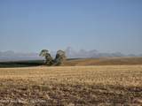 TBD 900 N - Photo 4