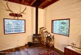 415 Forest 21 - Photo 5
