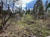 .88 ACRES Lone Star Road - Photo 3