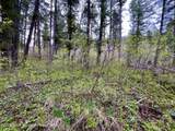 .88 ACRES Lone Star Road - Photo 6