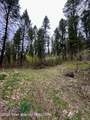 .88 ACRES Lone Star Road - Photo 8