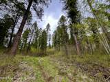 .88 ACRES Lone Star Road - Photo 9