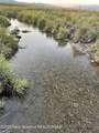  80 ACRES NYA HWY 238 - Photo 16