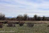 31 Cutoff Road - Photo 48