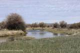 31 Cutoff Road - Photo 49