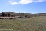 31 Cutoff Road - Photo 53