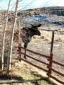 31 Cutoff Road - Photo 56