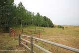1534 Aspen Hollow Rd - Photo 49