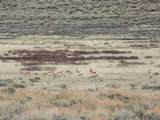TRACT 9 Beaver Ridge Road - Photo 5