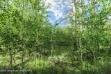 TRACT 4 Aspen Ridge Road - Photo 19