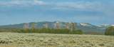 TRACT 4 Aspen Ridge Road - Photo 30
