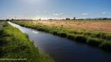  111.5 ACRES SUGAR CITY - Photo 14