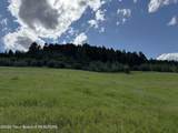 2035 Stump Creek Road - Photo 5