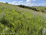 2035 Stump Creek Road - Photo 9