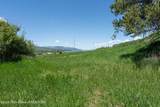 LOTS 1 & 2 Lever Springs Road - Photo 49