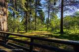 26 Fawn Trail - Photo 10