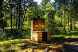 26 Fawn Trail - Photo 11