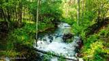 26 Fawn Trail - Photo 28