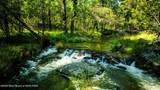 26 Fawn Trail - Photo 4