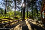 26 Fawn Trail - Photo 9