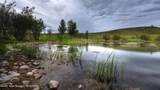 8779 Grizzly Ridge Road - Photo 10