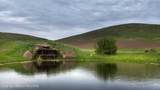 8779 Grizzly Ridge Road - Photo 11