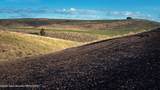 8779 Grizzly Ridge Road - Photo 2