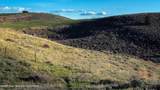 8779 Grizzly Ridge Road - Photo 5