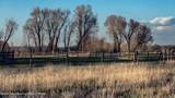 4550 Daisy Way - Photo 5