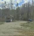TBD Upper Picnic Ridge Road - Photo 3