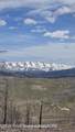 TBD Upper Picnic Ridge Road - Photo 9