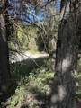 77 Redwood Road - Photo 4