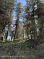77 Redwood Road - Photo 8