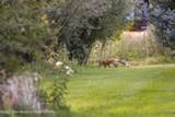 6477 Trumpet Swan Circle - Photo 6