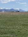 LOT 17 Bachelor's Button Circle - Photo 2