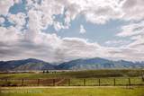 2384 Fairview Spring Creek Road - Photo 29