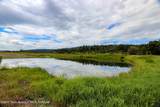 227 Mcneel Power Plant Road - Photo 5