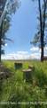 30 Guio-Budd - Photo 39
