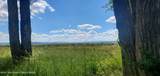 30 Guio-Budd - Photo 40