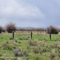 30 Guio-Budd - Photo 52