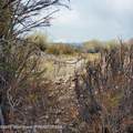 30 Guio-Budd - Photo 56