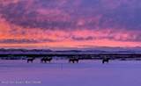 30 Guio-Budd - Photo 59