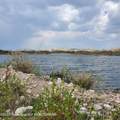 30 Guio-Budd Road - Photo 3