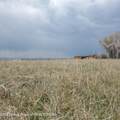 30 Guio-Budd Road - Photo 43