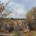 30 Guio-Budd Road - Photo 47